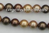 CSB342 15.5 inches 10mm round mixed color shell pearl beads