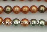 CSB343 15.5 inches 10mm round mixed color shell pearl beads