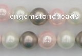 CSB356 15.5 inches 12mm round mixed color shell pearl beads