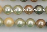 CSB359 15.5 inches 12mm round mixed color shell pearl beads