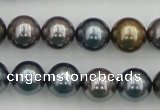 CSB366 15.5 inches 12mm round mixed color shell pearl beads