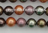 CSB368 15.5 inches 12mm round mixed color shell pearl beads