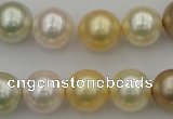 CSB372 15.5 inches 14mm round mixed color shell pearl beads