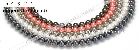 CSB38 16 inches 10mm round shell pearl beads Wholesale