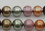 CSB383 15.5 inches 14mm round mixed color shell pearl beads