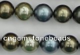 CSB384 15.5 inches 14mm round mixed color shell pearl beads