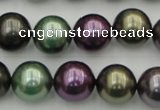 CSB386 15.5 inches 14mm round mixed color shell pearl beads