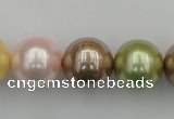 CSB393 15.5 inches 16mm round mixed color shell pearl beads