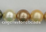 CSB394 15.5 inches 16mm round mixed color shell pearl beads