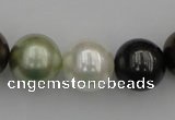 CSB396 15.5 inches 16mm round mixed color shell pearl beads