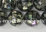 CSB4015 15.5 inches 10mm ball abalone shell beads wholesale