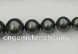 CSB403 15.5 inches 8mm - 16mm round shell pearl beads