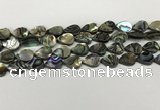 CSB4136 15.5 inches 10*14mm flat teardrop abalone shell beads