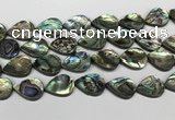 CSB4140 15.5 inches 18*25mm flat teardrop abalone shell beads