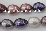 CSB553 15.5 inches 12*15mm whorl teardrop mixed color shell pearl beads