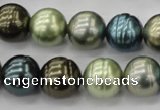 CSB623 15.5 inches 14mm whorl round mixed color shell pearl beads