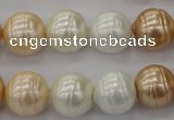 CSB624 15.5 inches 14mm whorl round mixed color shell pearl beads