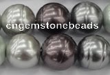 CSB651 15.5 inches 18mm whorl round mixed color shell pearl beads