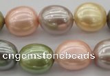 CSB679 15.5 inches 16*19mm oval mixed color shell pearl beads