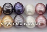 CSB696 15.5 inches 13*15mm oval mixed color shell pearl beads