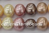 CSB699 15.5 inches 13*15mm oval mixed color shell pearl beads