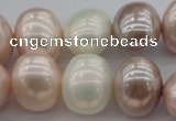 CSB713 15.5 inches 16*19mm oval mixed color shell pearl beads