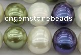 CSB717 15.5 inches 16*19mm oval mixed color shell pearl beads