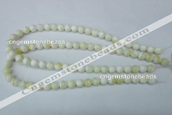 CSB953 15.5 inches 10mm round shell pearl beads wholesale