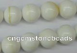 CSB955 15.5 inches 14mm round shell pearl beads wholesale