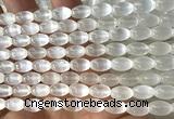 CSE634 15 inches 6*9mm rice selenite beads wholesale