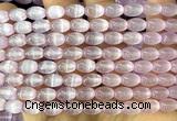 CSE694 15 inches 6*9mm rice selenite beads wholesale