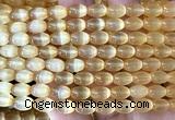 CSE734 15 inches 6*9mm rice selenite beads wholesale