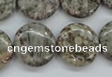 CSF01 15.5 inches 20mm flat round shell fossil jasper beads