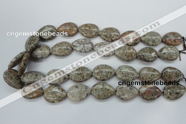 CSF03 15.5 inches 18*25mm flat teardrop shell fossil jasper beads