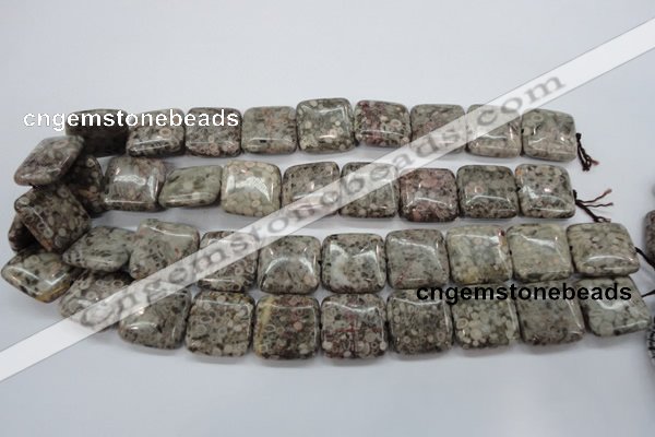 CSF06 15.5 inches 20*20mm square shell fossil jasper beads