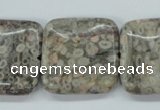 CSF07 15.5 inches 25*25mm square shell fossil jasper beads