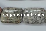 CSF09 15.5 inches 18*25mm rectangle shell fossil jasper beads