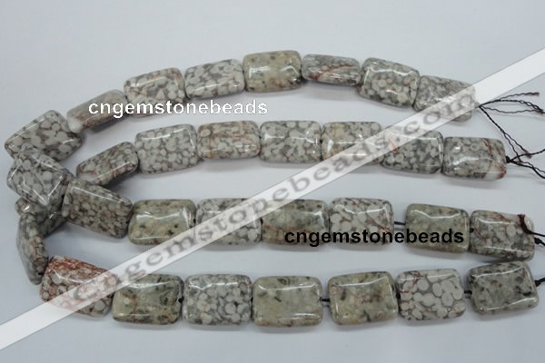 CSF09 15.5 inches 18*25mm rectangle shell fossil jasper beads