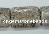 CSF10 15.5 inches 22*30mm rectangle shell fossil jasper beads