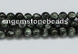 CSH01 15.5 inches 6mm round natural seraphinite gemstone beads