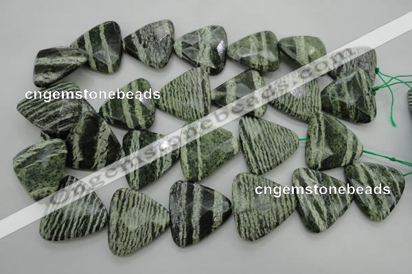 CSJ130 15.5 inches 30*30mm faceted triangle green silver line jasper beads