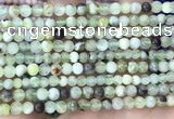 CSJ300 15.5 inches 4mm round serpentine new jade beads wholesale