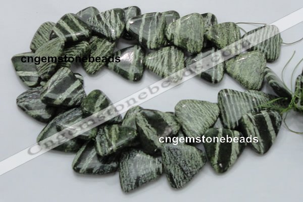 CSJ35 15.5 inches 30*30mm triangle green silver line jasper beads