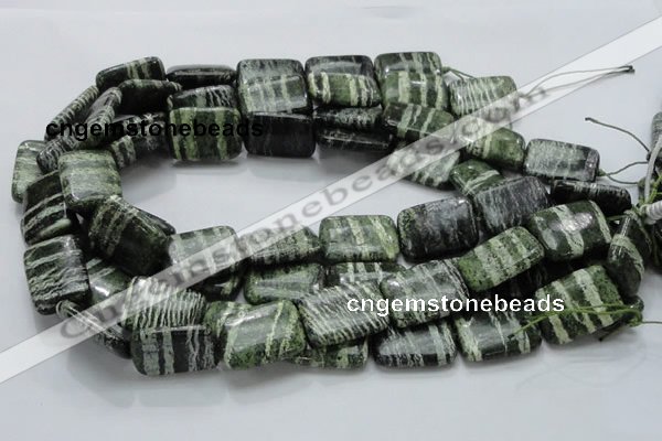 CSJ38 15.5 inches 18*25mm rectangle green silver line jasper beads