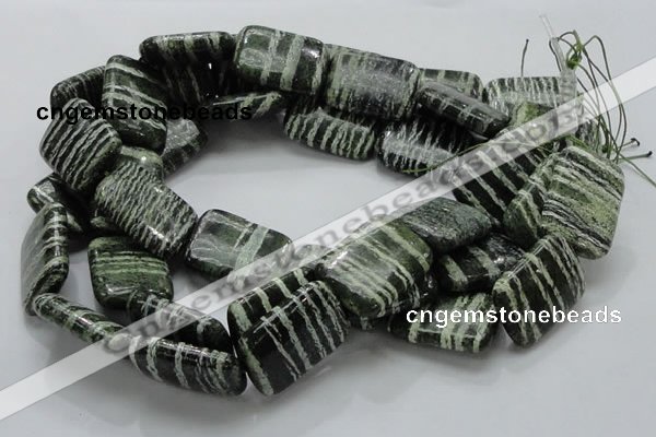 CSJ39 15.5 inches 22*30mm rectangle green silver line jasper beads