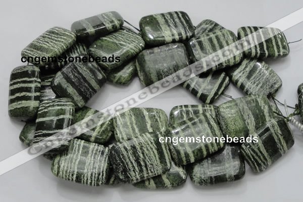 CSJ40 15.5 inches 30*40mm rectangle green silver line jasper beads