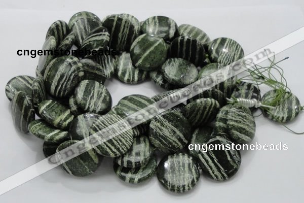 CSJ46 15.5 inches 30mm flat round green silver line jasper beads