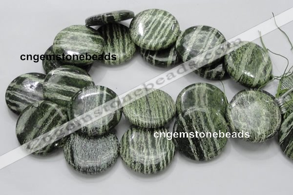 CSJ48 15.5 inches 40mm flat round green silver line jasper beads