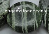 CSJ49 15.5 inches 50mm flat round green silver line jasper beads