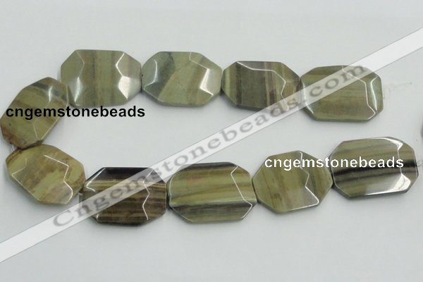 CSL08 15.5 inches 30*40mm octagonal silver leaf jasper beads wholesale